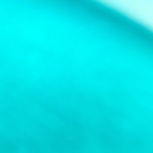 Meet your Posher, Moni